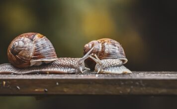 Gdzie umieścić czujnik zmierzchu?
