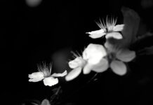 Ile kosztuje system KNX?