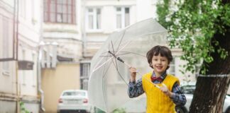 Co to jest maximizer w silniku elektrycznym? Co to jest maximizer w silniku elektrycznym?